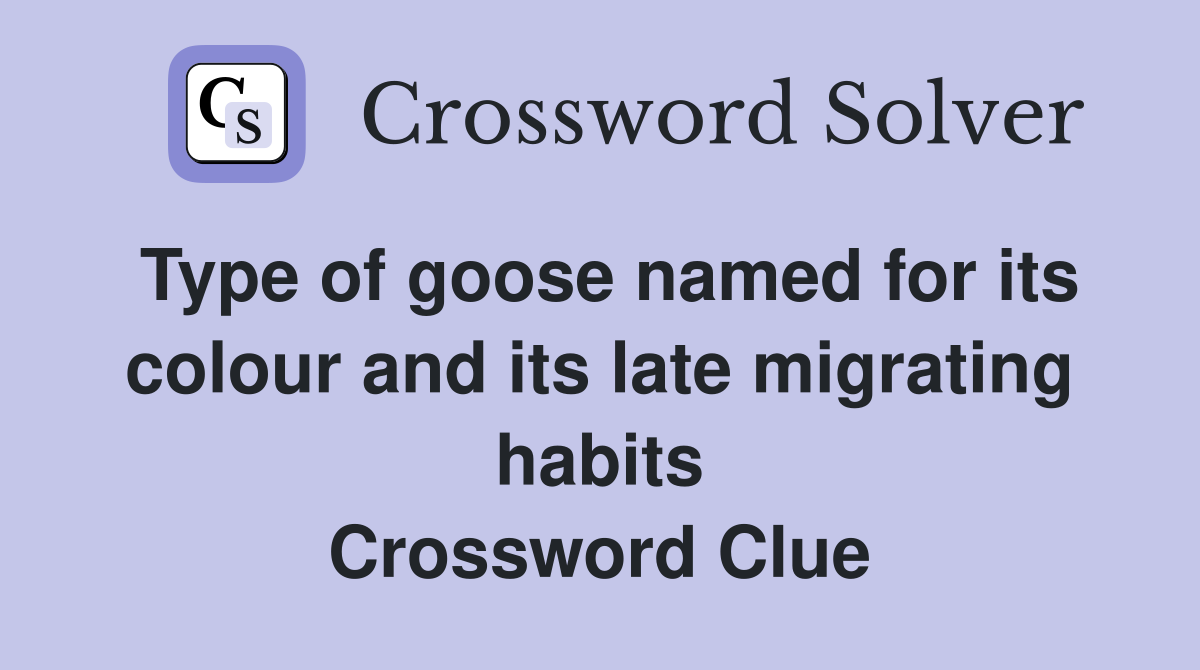 Type of goose named for its colour and its late migrating habits Crossword Clue