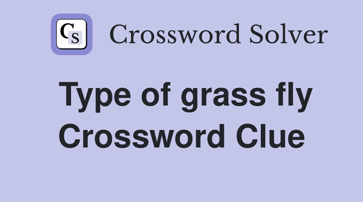 Type of grass fly Crossword Clue