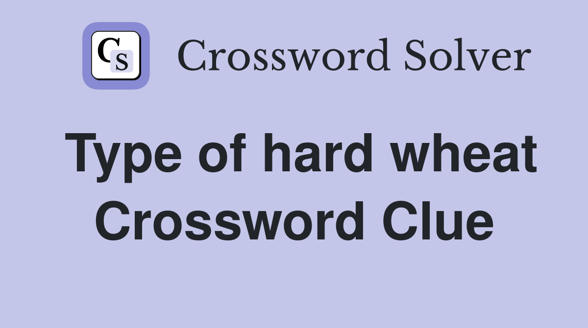 Type of hard wheat Crossword Clue