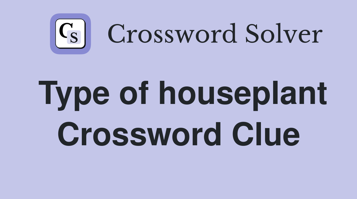 Type of houseplant Crossword Clue