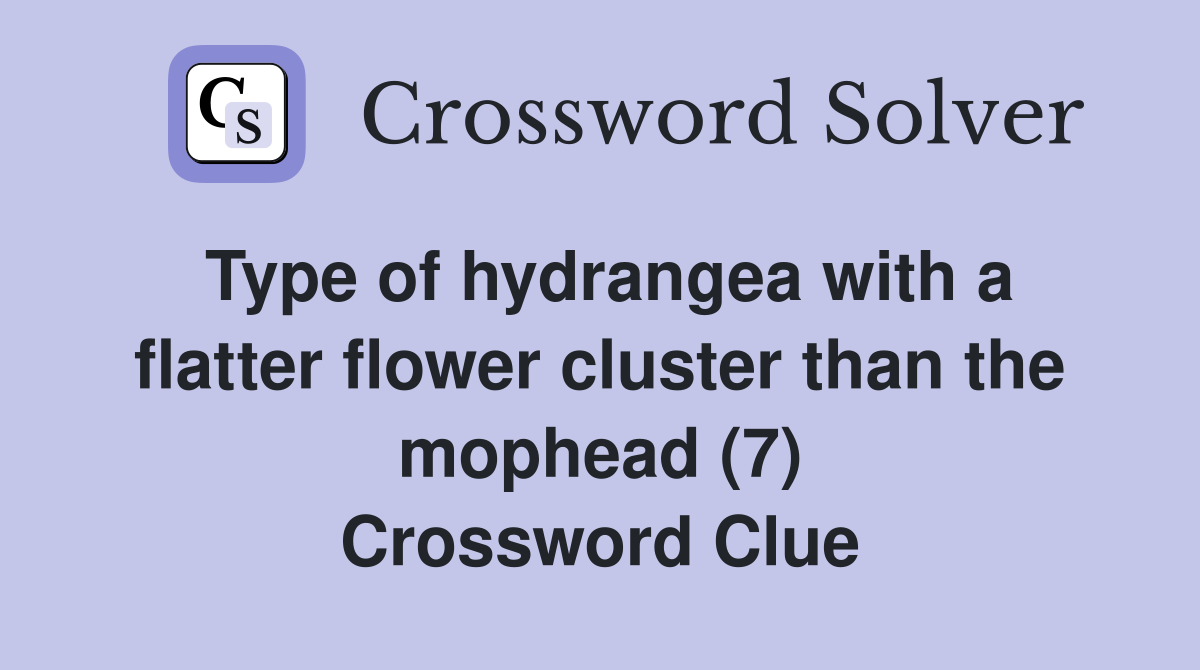 Type of hydrangea with a flatter flower cluster than the mophead (7) Crossword Clue