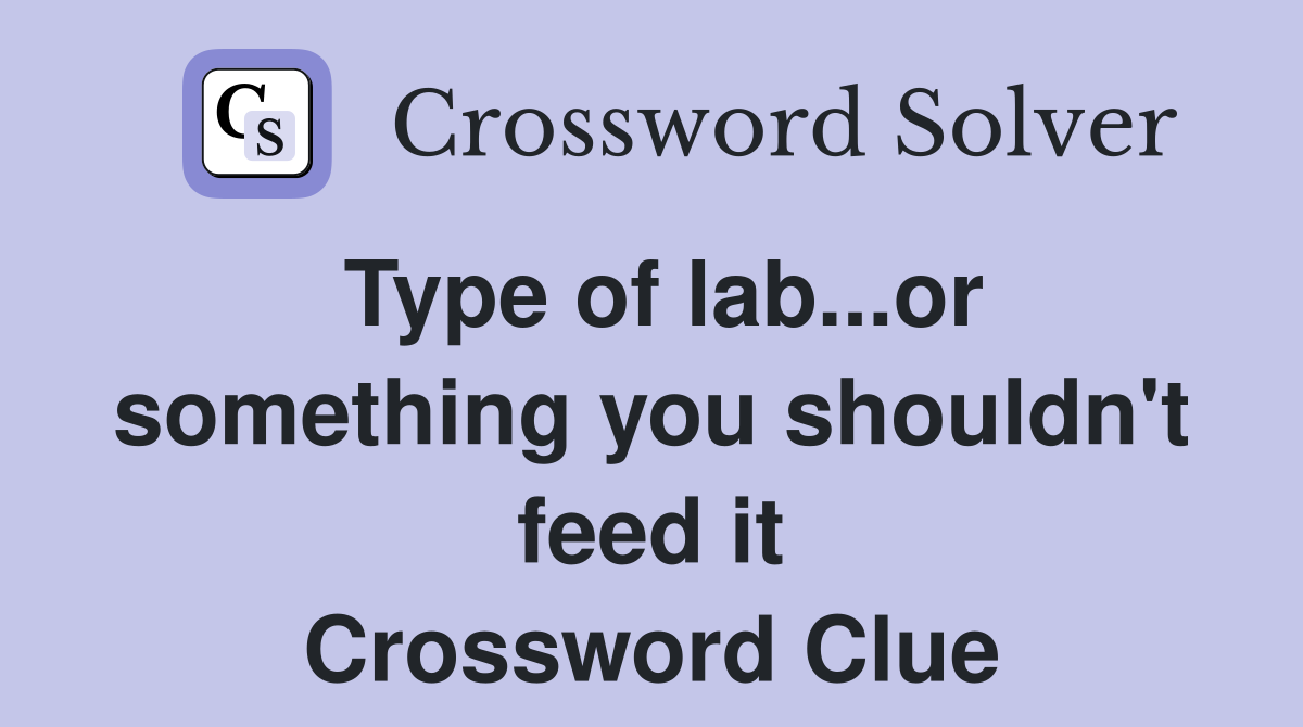 Type of lab...or something you shouldn't feed it Crossword Clue