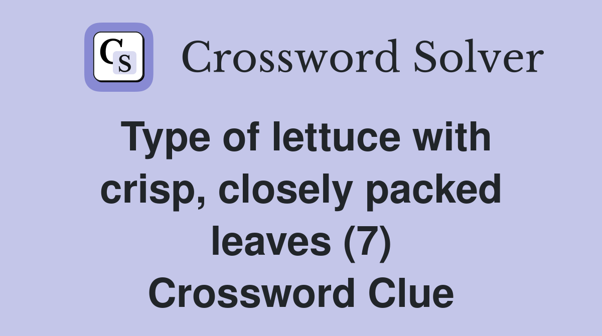 Type of lettuce with crisp, closely packed leaves (7) Crossword Clue