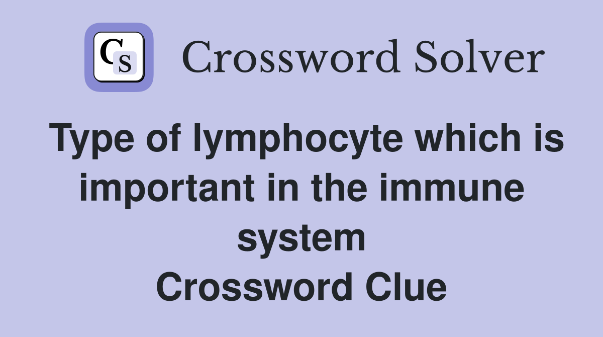 Type of lymphocyte which is important in the immune system Crossword Clue