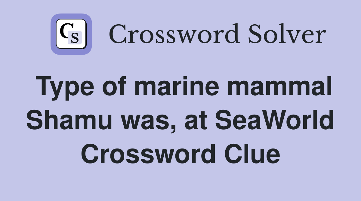 Type of marine mammal Shamu was, at SeaWorld Crossword Clue