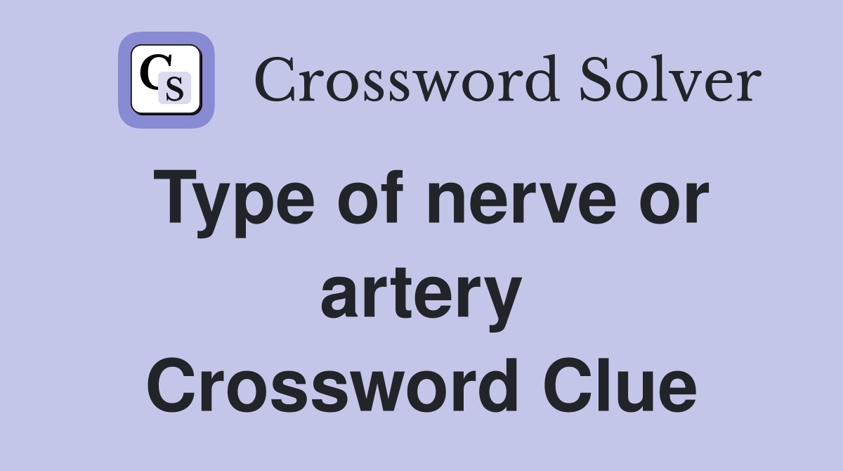 Type of nerve or artery Crossword Clue
