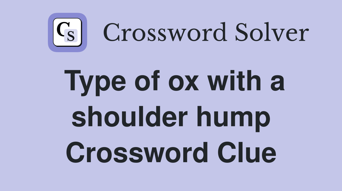 Type of ox with a shoulder hump Crossword Clue
