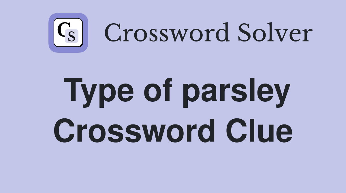 Type of parsley Crossword Clue