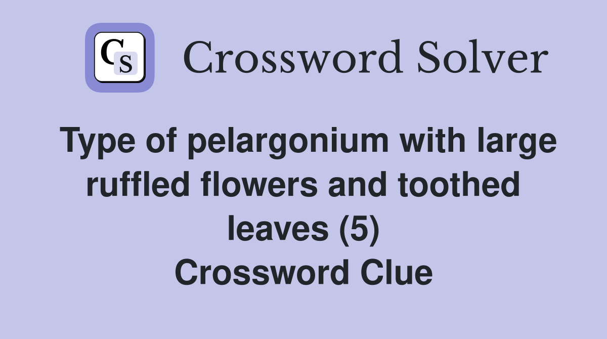 Type of pelargonium with large ruffled flowers and toothed leaves (5) Crossword Clue