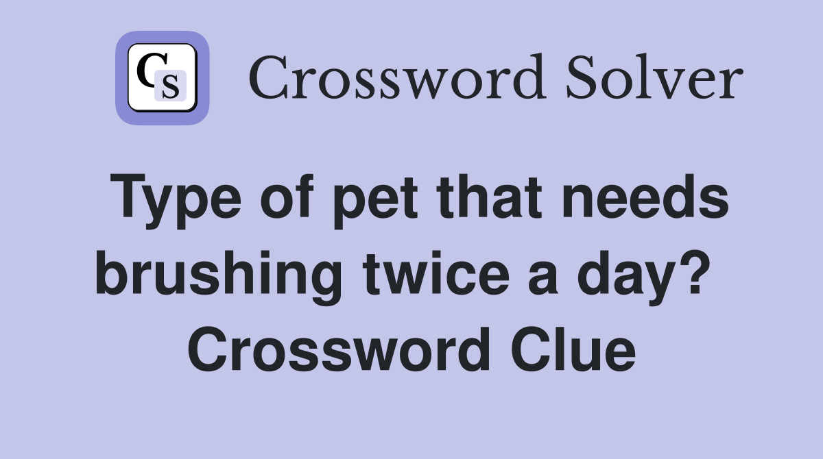 Type of pet that needs brushing twice a day?  Crossword Clue