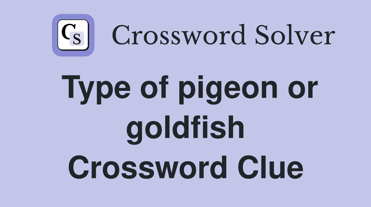 Type of pigeon or goldfish Crossword Clue