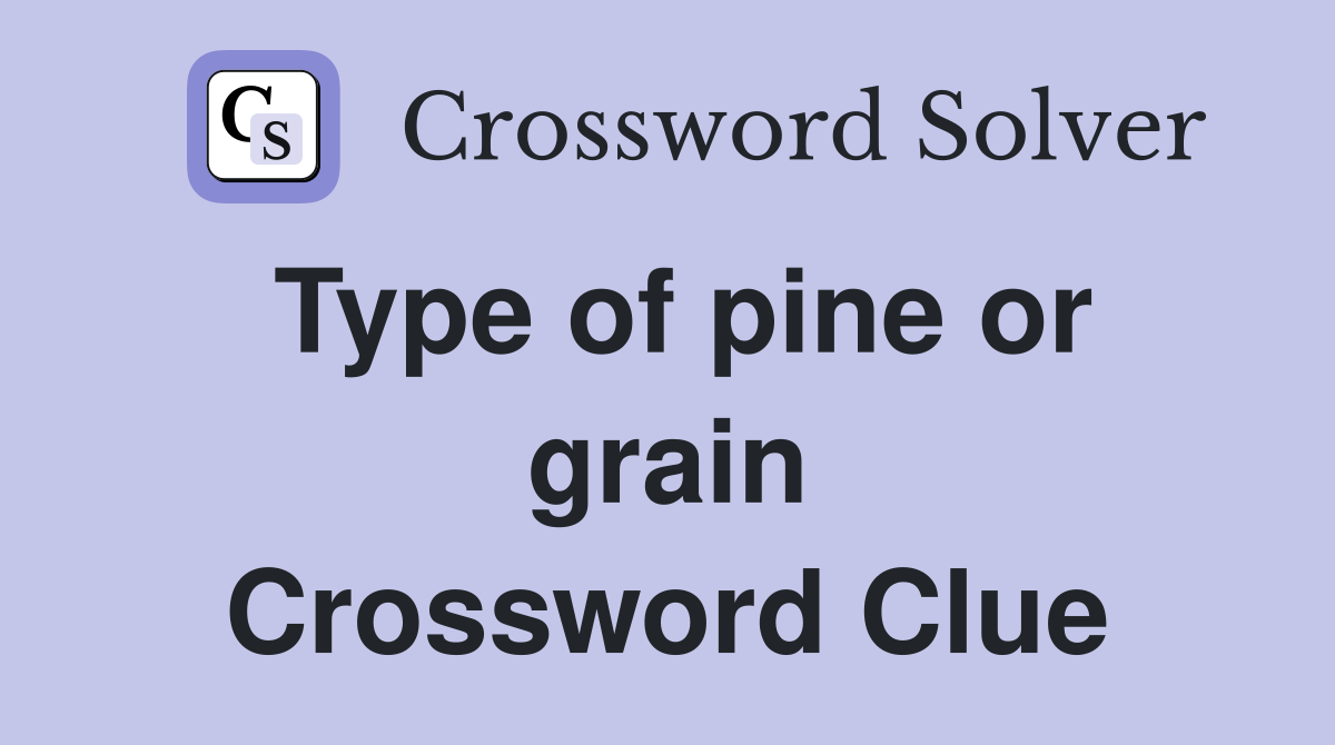 Type of pine or grain Crossword Clue