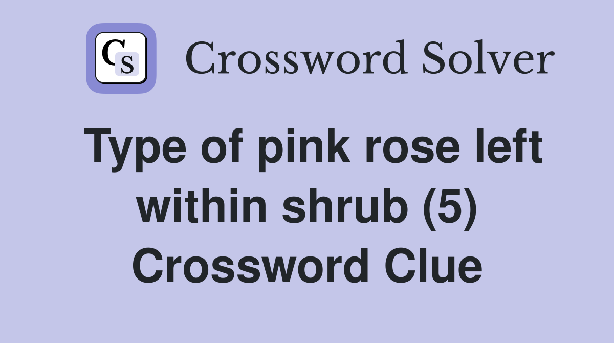 Type of pink rose left within shrub (5) Crossword Clue
