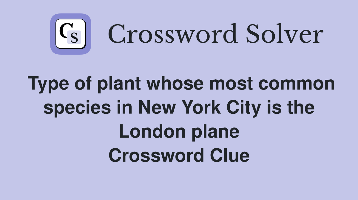 Type of plant whose most common species in New York City is the London plane Crossword Clue