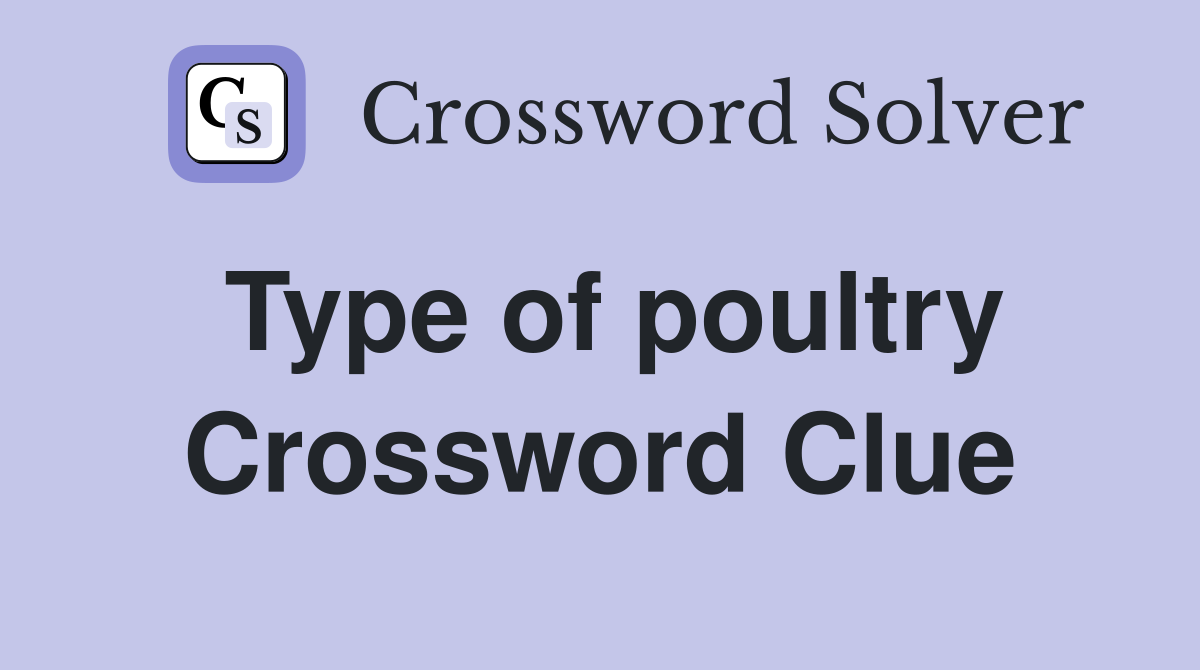 Type of poultry Crossword Clue