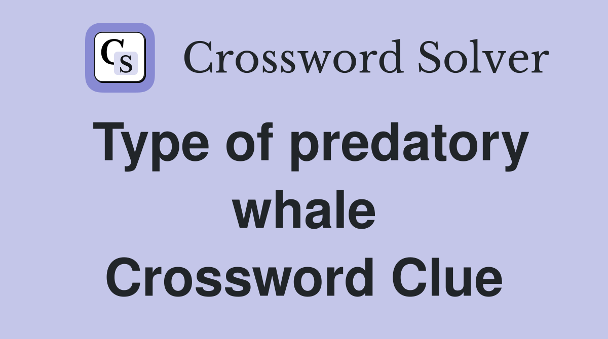 Type of predatory whale Crossword Clue