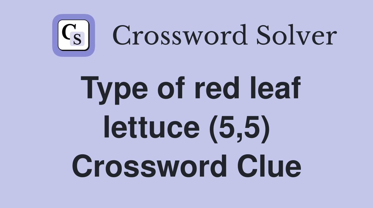 Type of red leaf lettuce (5,5) Crossword Clue