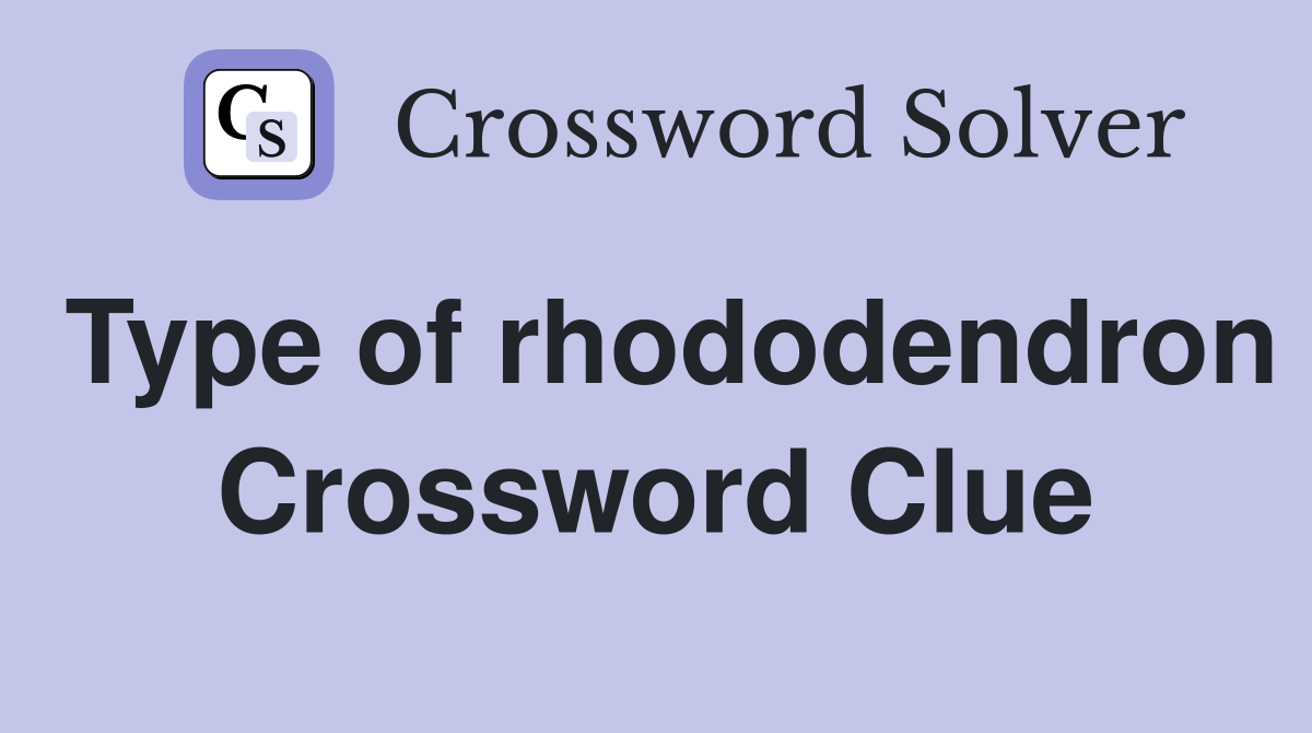 Type of rhododendron Crossword Clue