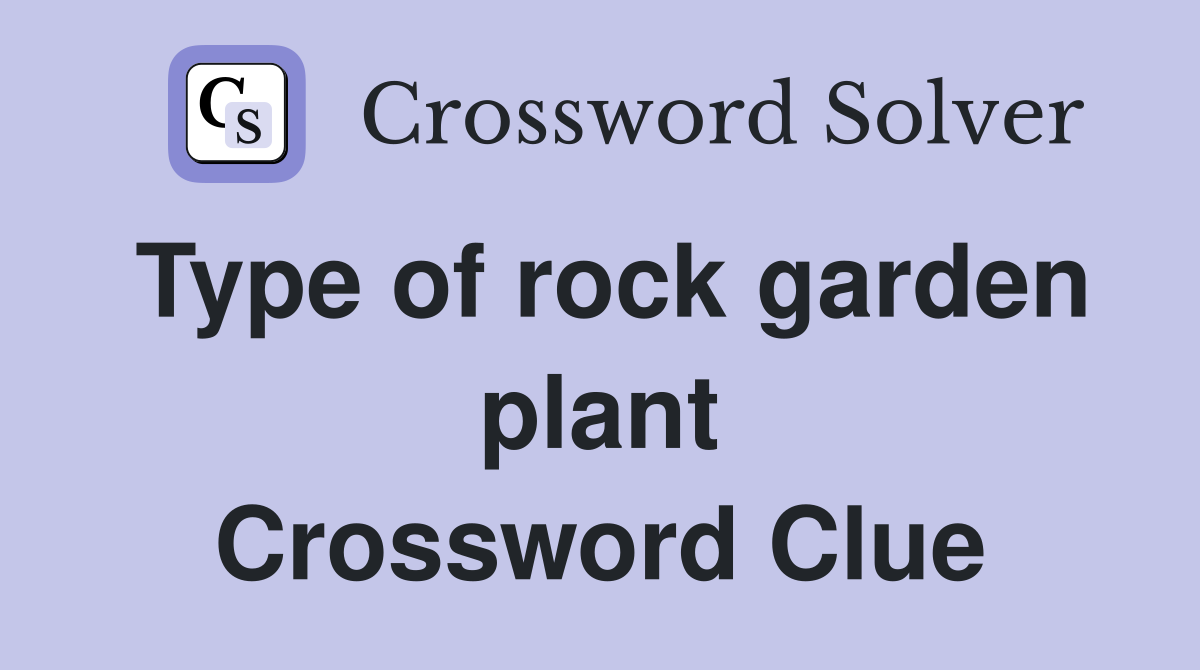 Type of rock garden plant Crossword Clue