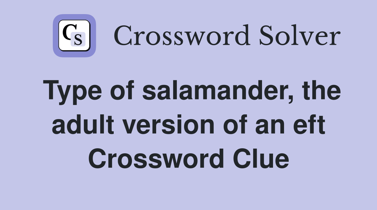 Type of salamander, the adult version of an eft Crossword Clue