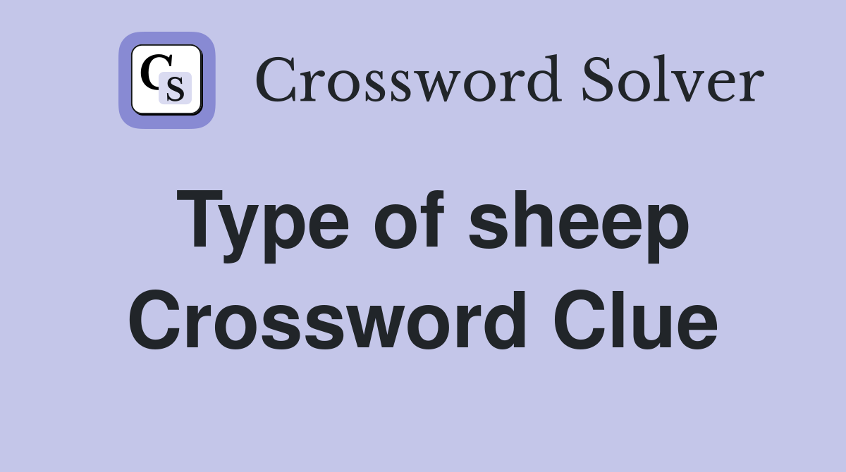 Type of sheep Crossword Clue