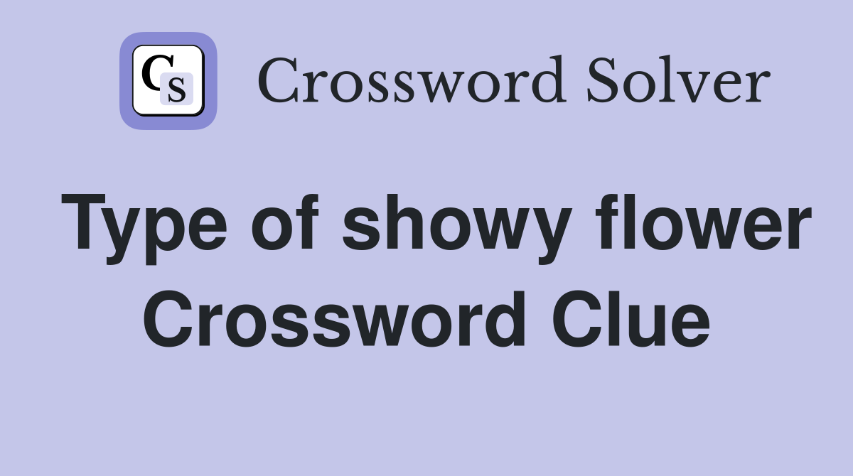 Type of showy flower Crossword Clue