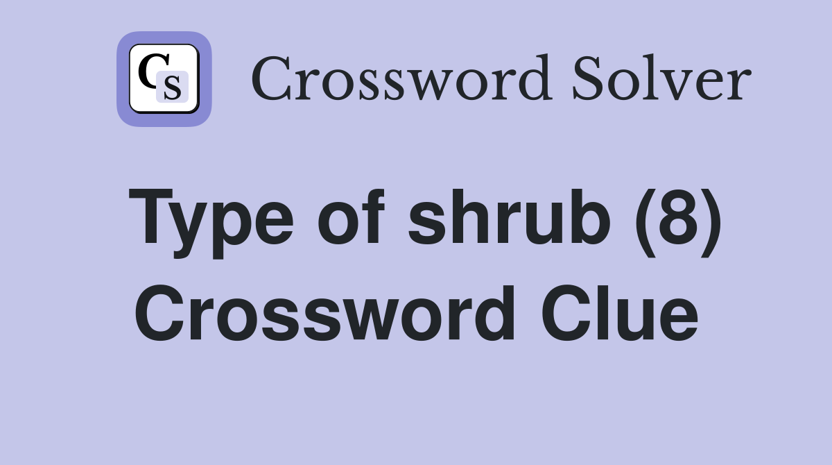 Type of shrub (8) Crossword Clue