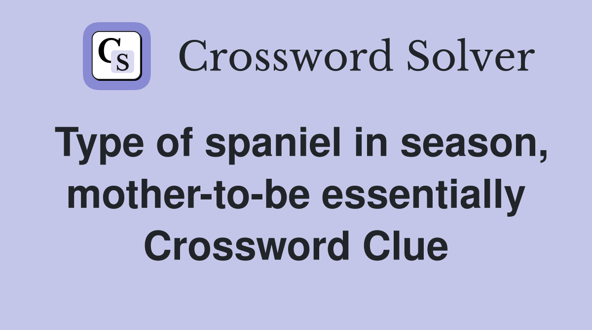 Type of spaniel in season, mother-to-be essentially Crossword Clue