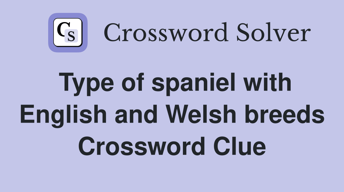 Type of spaniel with English and Welsh breeds Crossword Clue