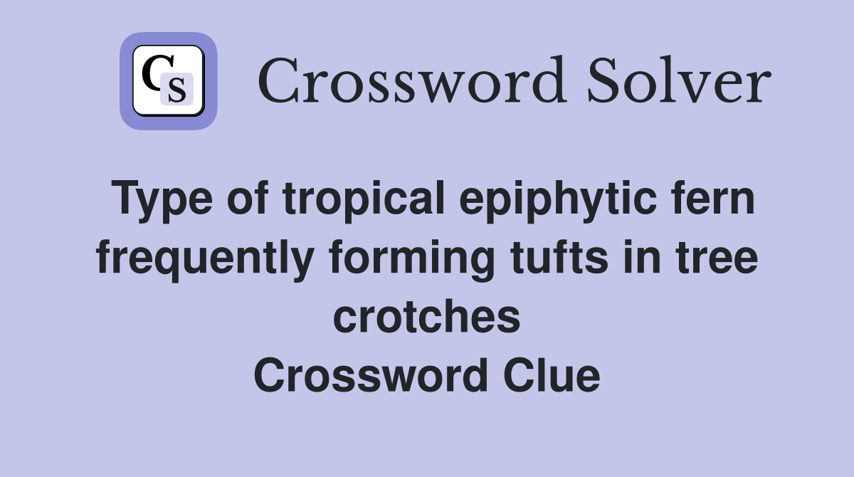 Type of tropical epiphytic fern frequently forming tufts in tree crotches Crossword Clue
