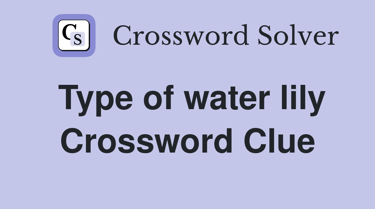 Type of water lily Crossword Clue