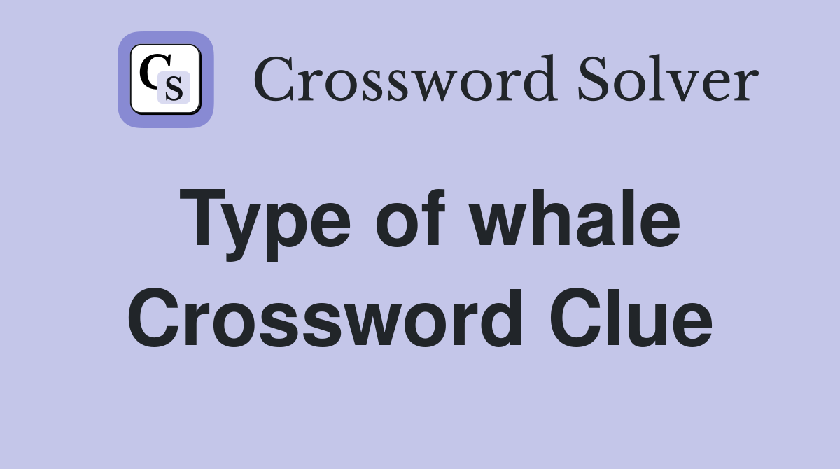Type of whale Crossword Clue