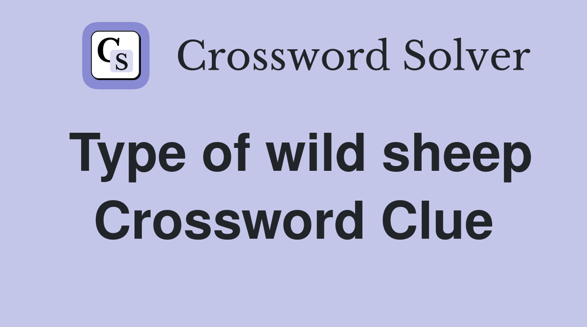 Type of wild sheep Crossword Clue