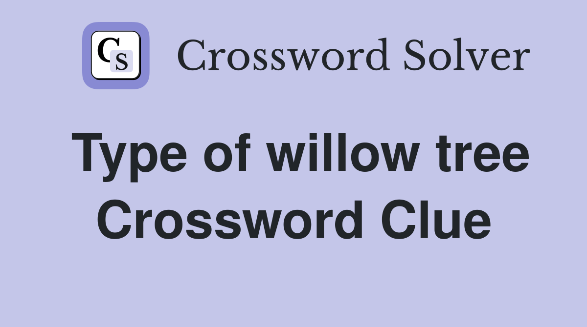 Type of willow tree Crossword Clue