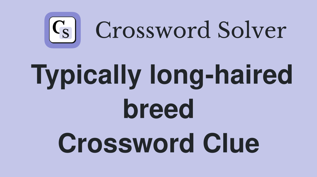 Typically long-haired breed Crossword Clue
