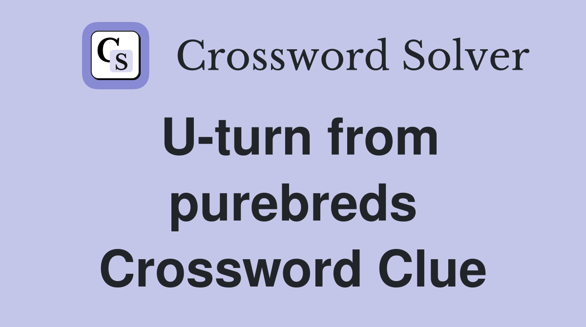 U-turn from purebreds Crossword Clue