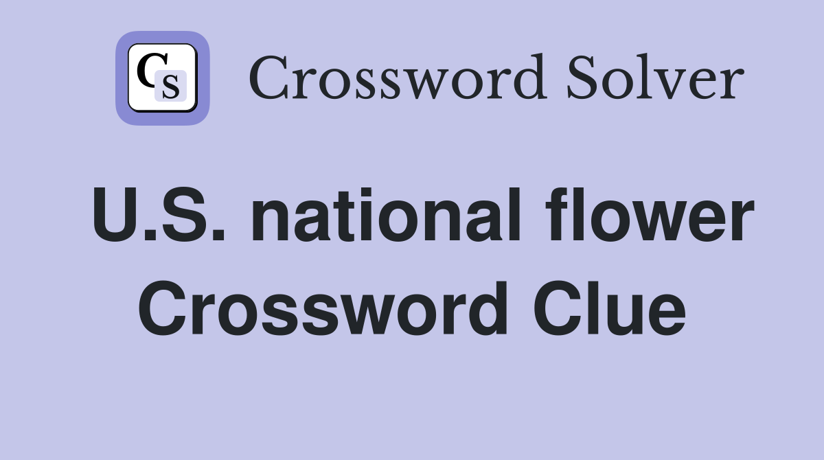 U.S. national flower Crossword Clue