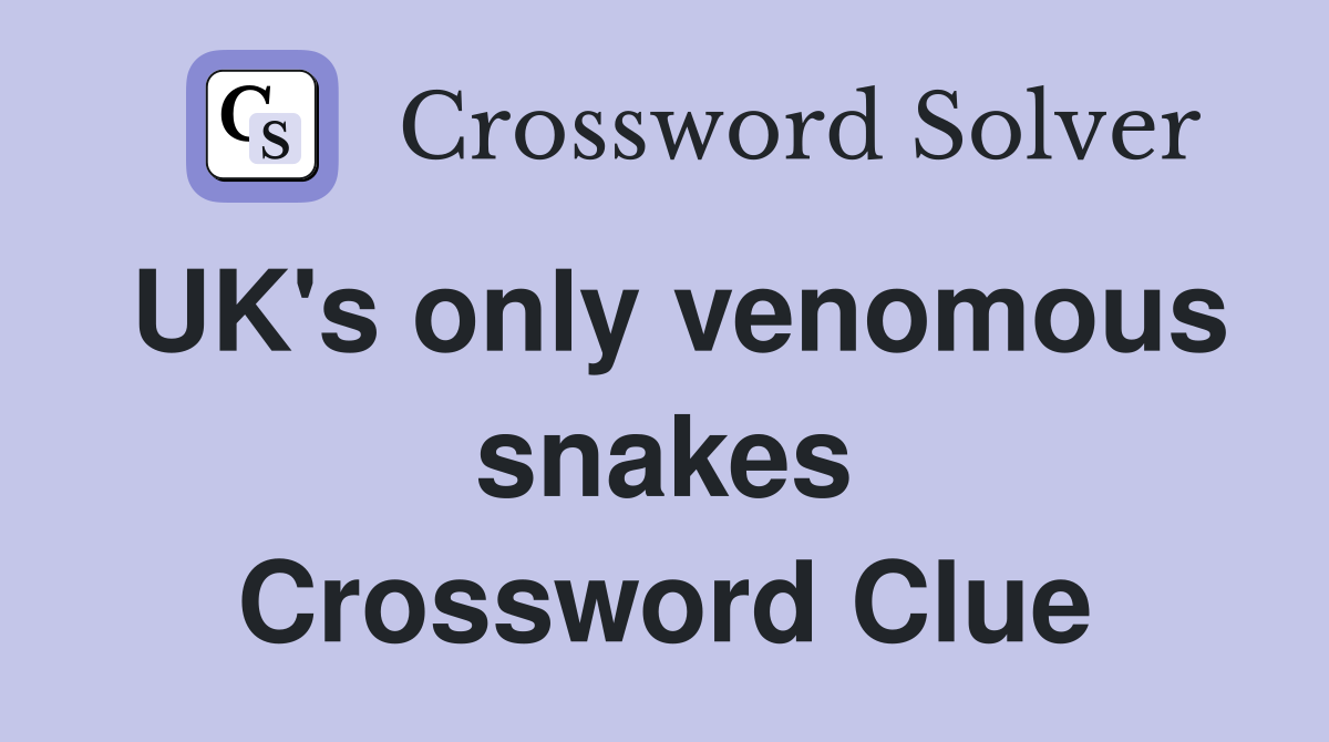 UK's only venomous snakes Crossword Clue