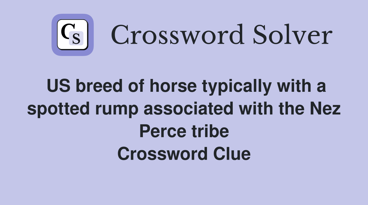 US breed of horse typically with a spotted rump associated with the Nez Perce tribe Crossword Clue