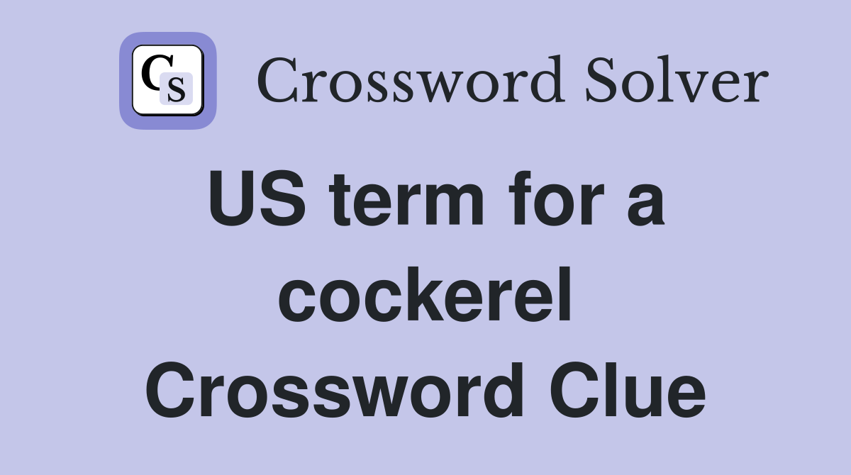 US term for a cockerel Crossword Clue