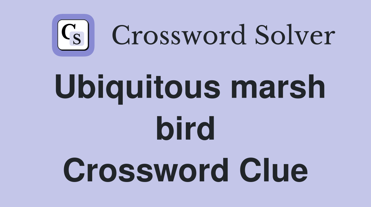 Ubiquitous marsh bird Crossword Clue