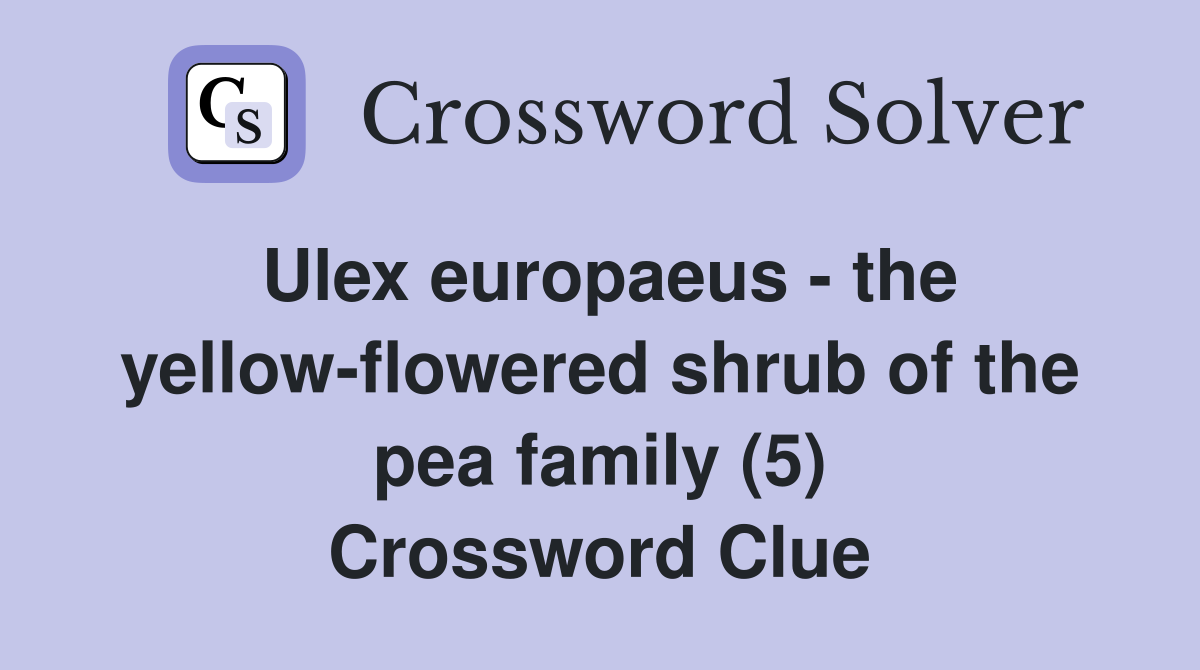 Ulex europaeus - the yellow-flowered shrub of the pea family (5) Crossword Clue