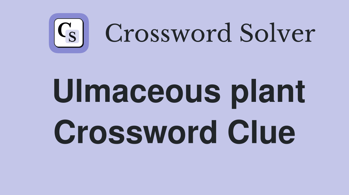 Ulmaceous plant Crossword Clue