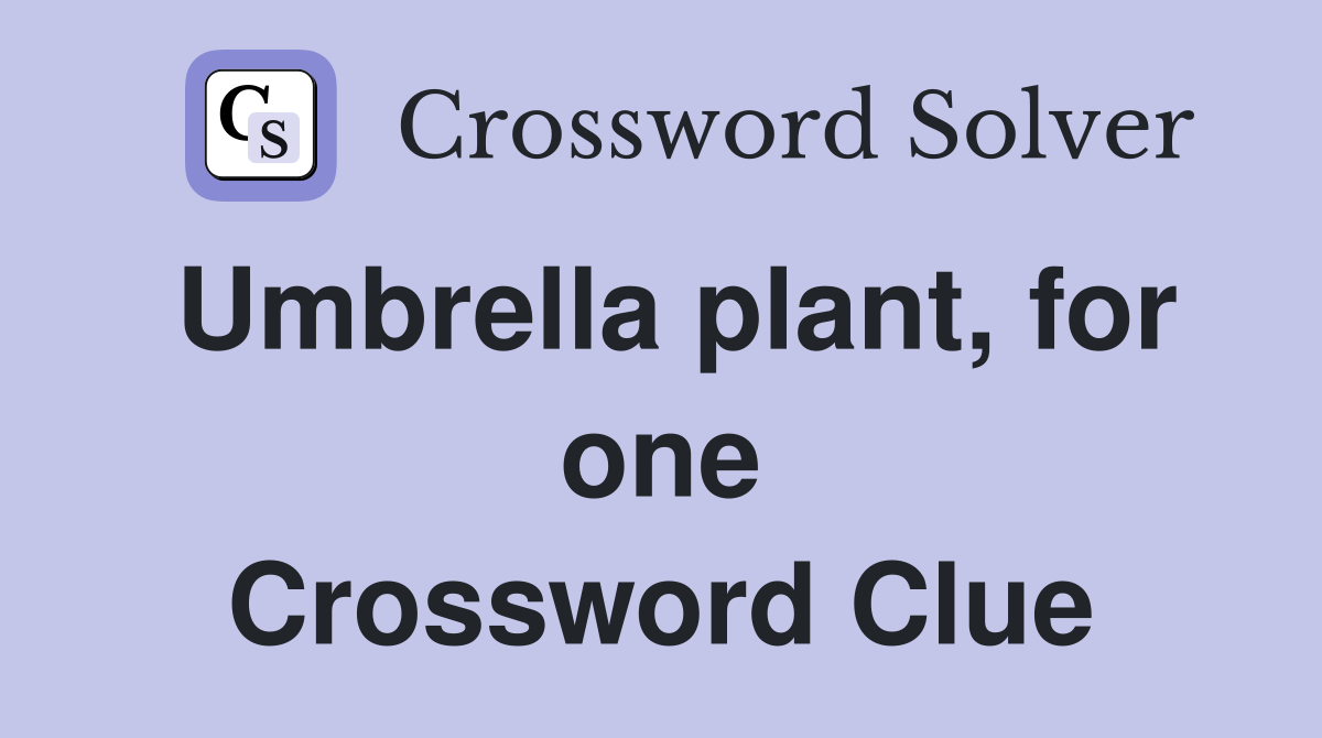 Umbrella plant, for one Crossword Clue