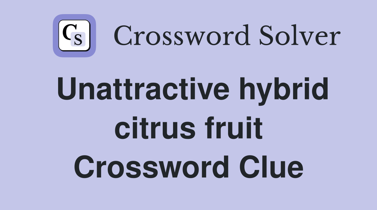 Unattractive hybrid citrus fruit Crossword Clue