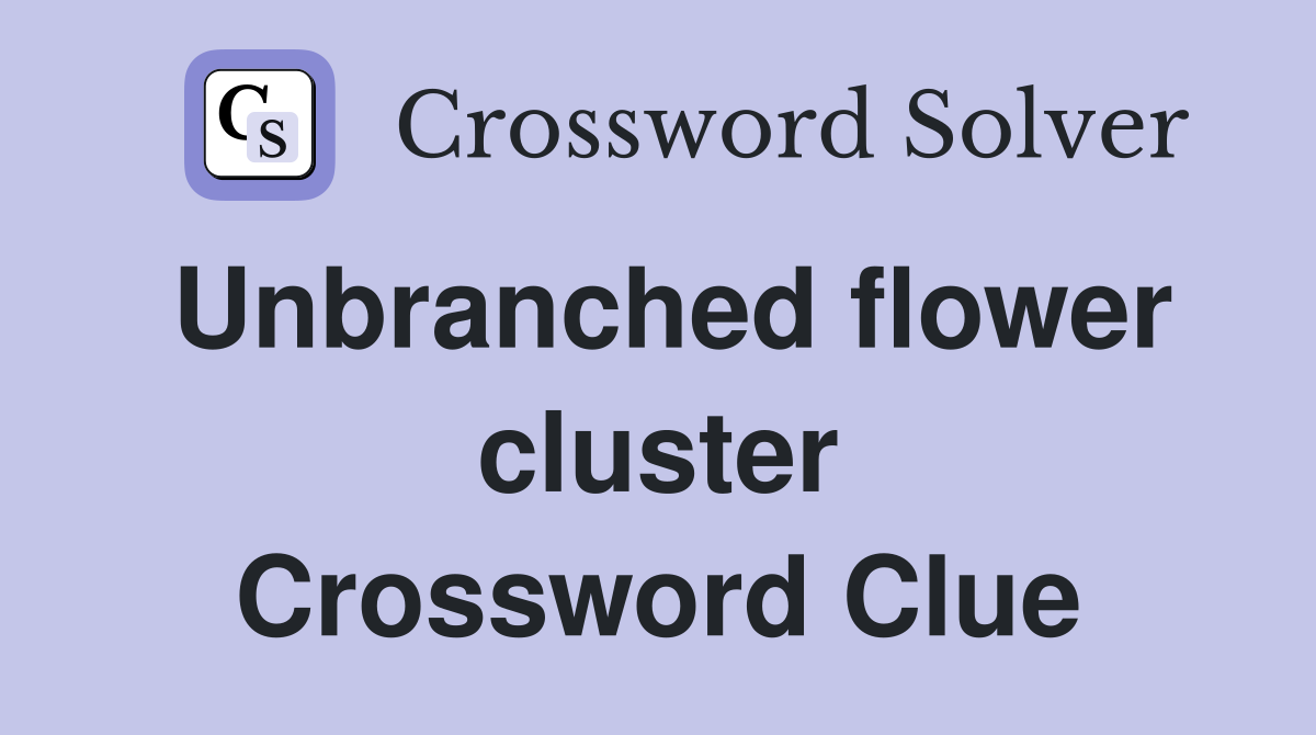 Unbranched flower cluster Crossword Clue