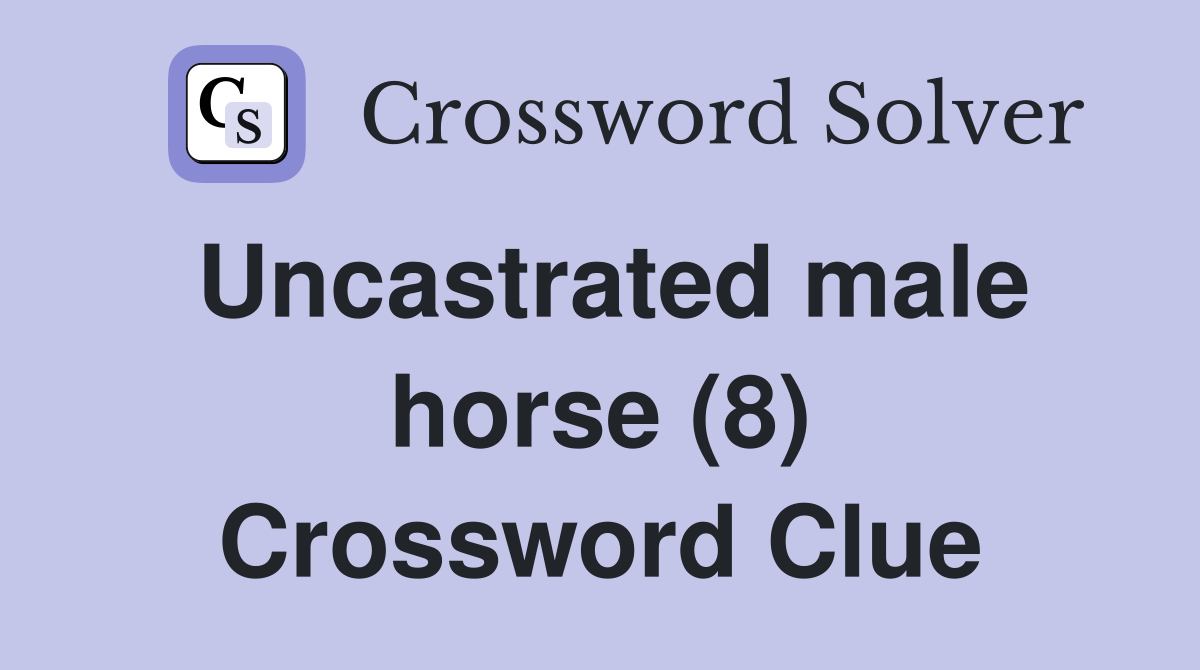 Uncastrated male horse (8) Crossword Clue