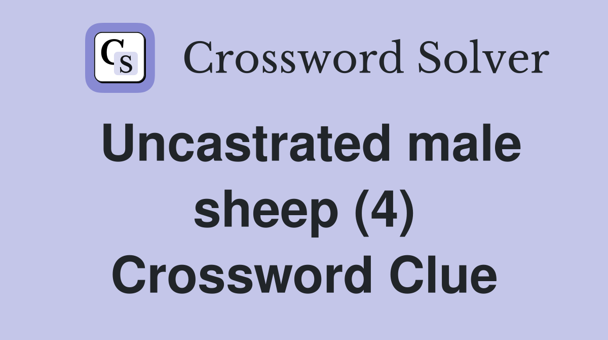 Uncastrated male sheep (4) Crossword Clue