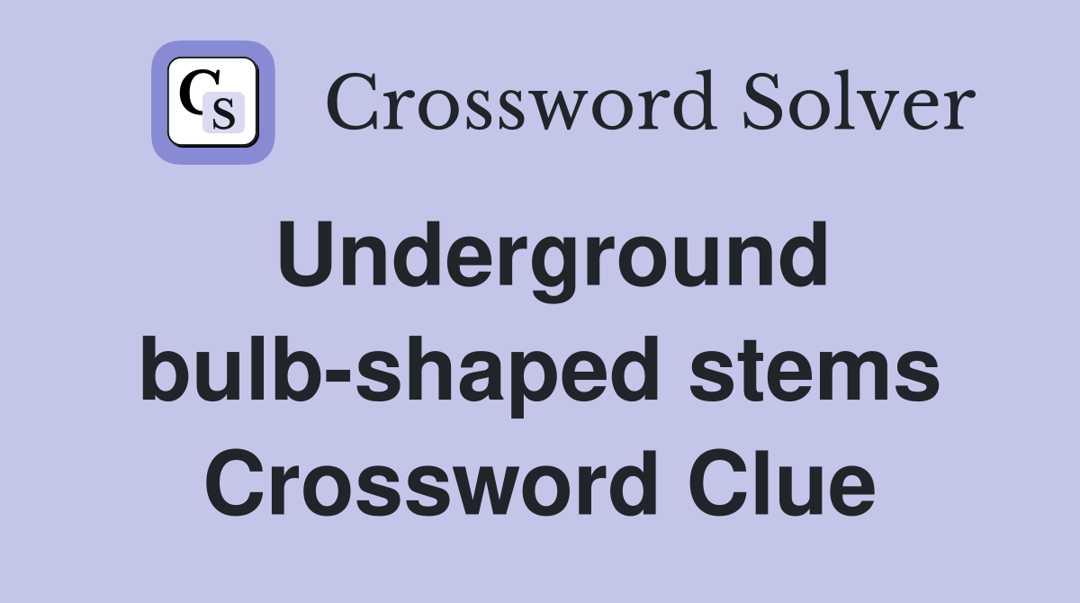 Underground bulb-shaped stems Crossword Clue