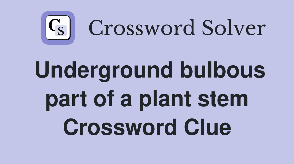 Underground bulbous part of a plant stem Crossword Clue